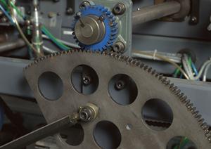 雨よけハウスでおいしい野菜を収穫