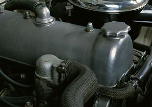 杢板などを取り扱う「小谷銘木店」を紹介します