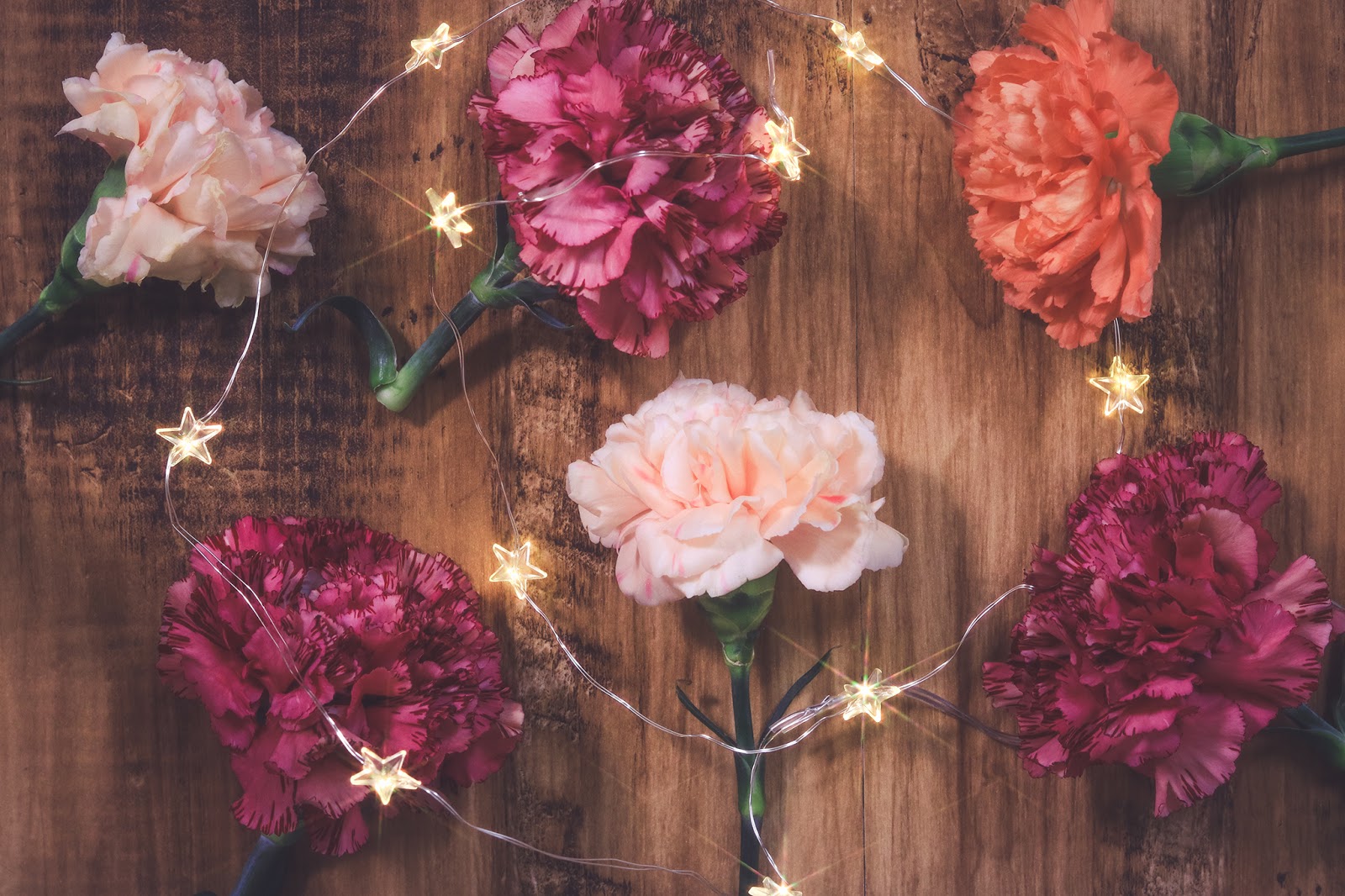 機能的な材料に関する情報まとめ